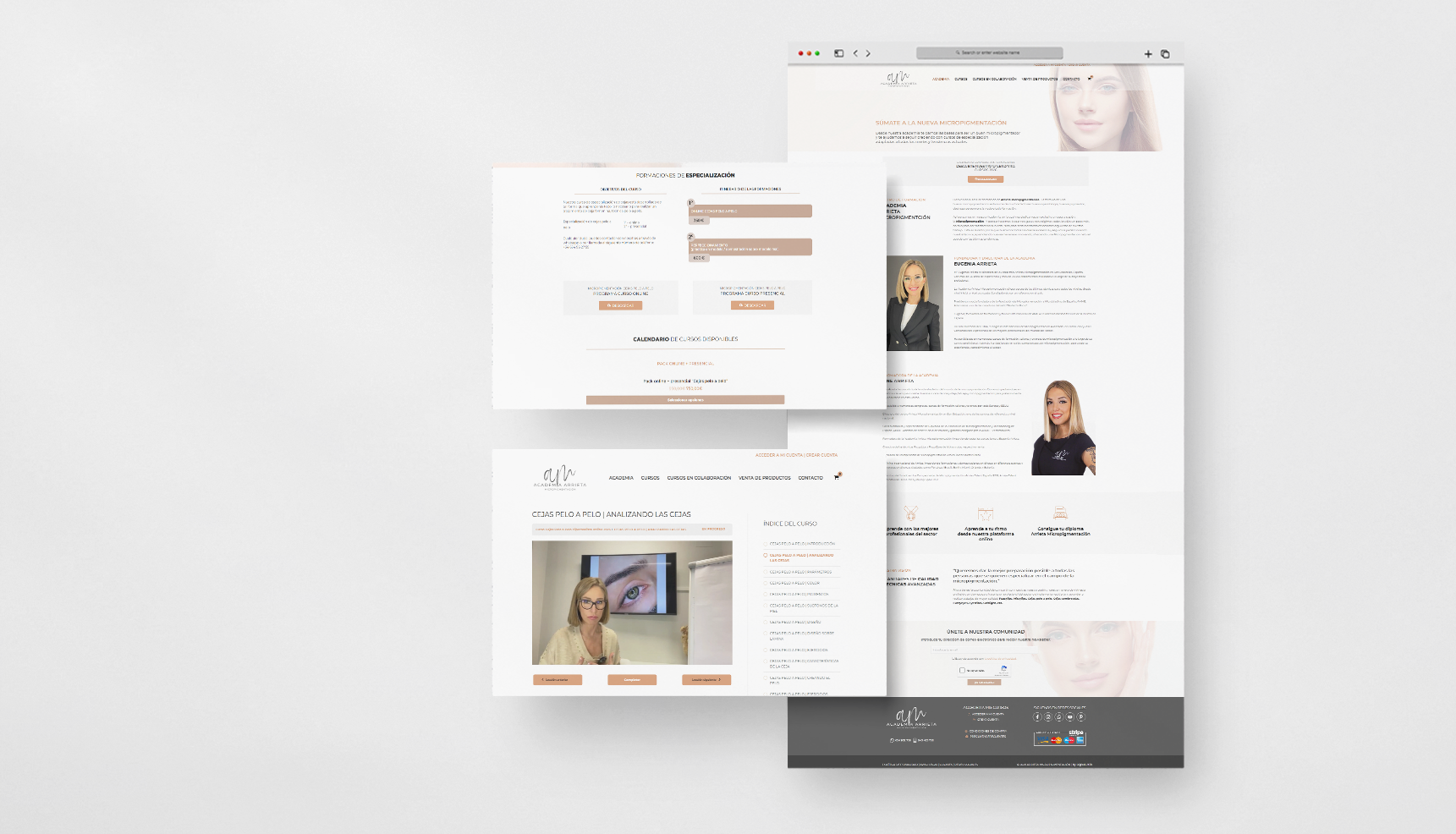 Arrieta-Micro-web-academia